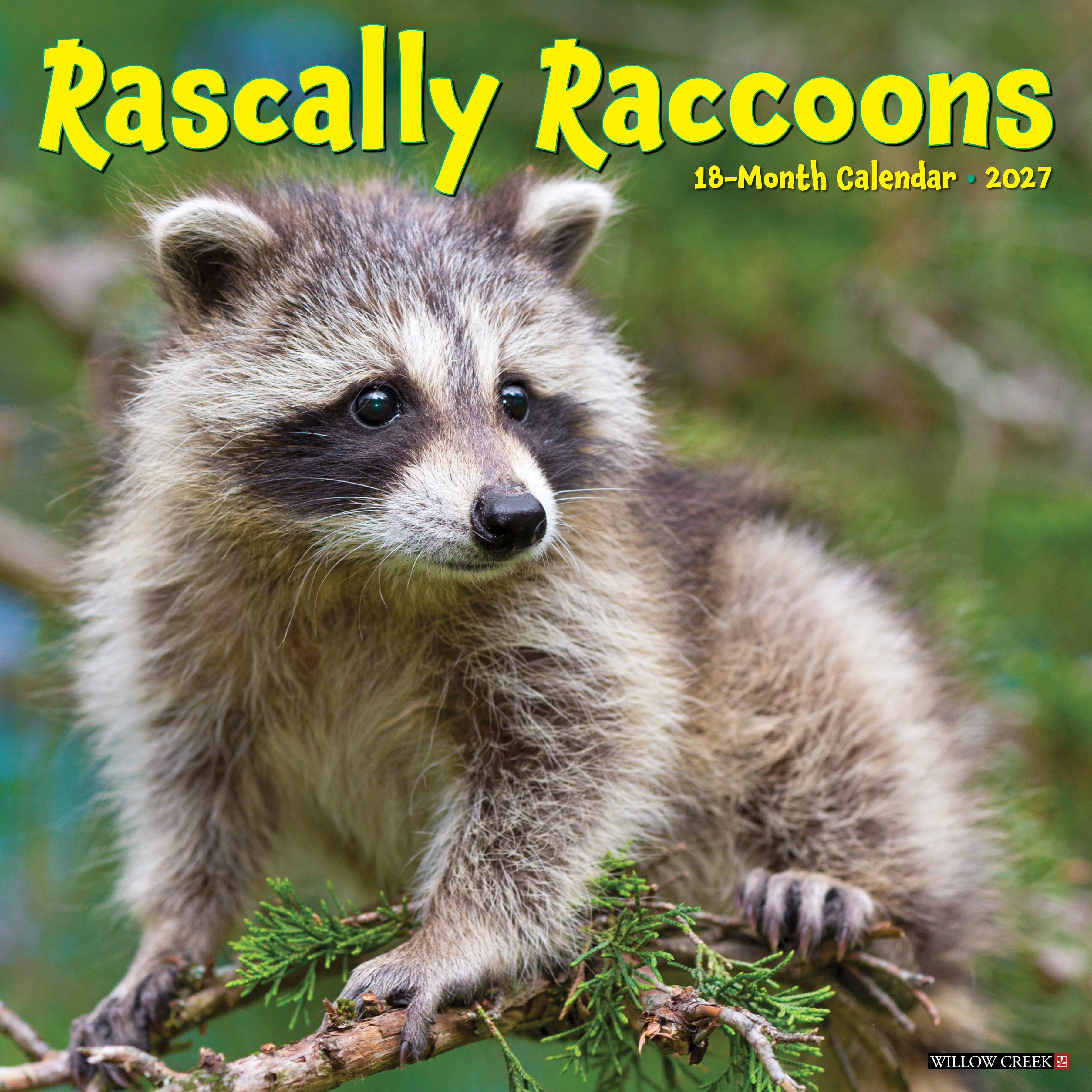 Willow Creek Press, Rascally Raccoons 2027 Wall Calendar