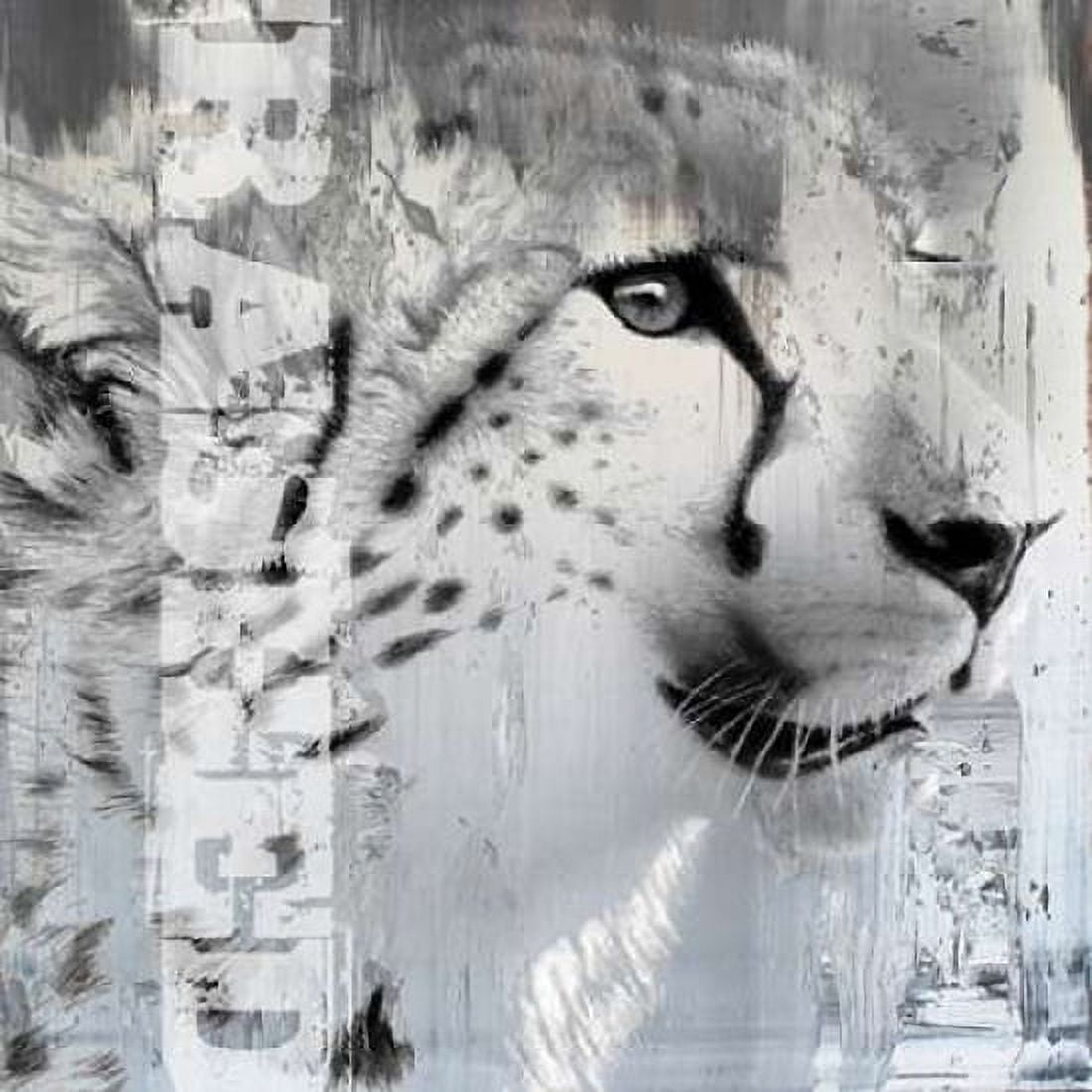 Rashed I Canvas Art - Micha Baker (24 x 24)