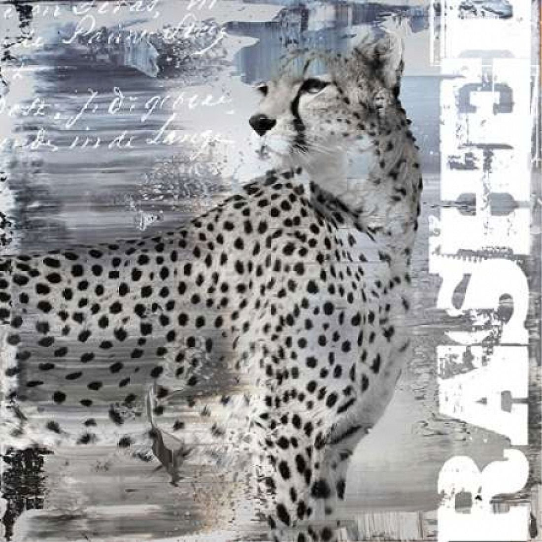 Rashed II Canvas Art - Micha Baker (24 x 24)