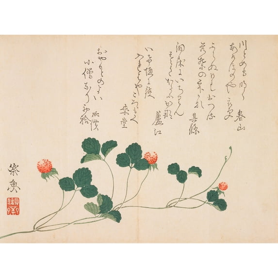 Raspberries 19th Century Kitagawa Saigyo Extra Large XL Wall Art Poster Print