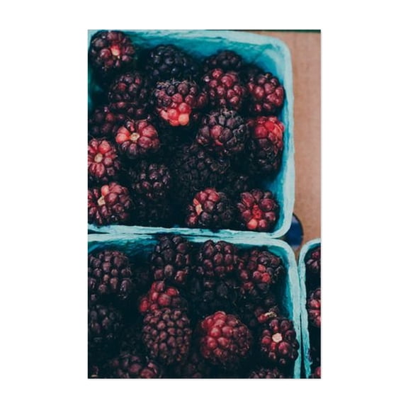 Raspberries - Santa Barbara California Photography Fruit Kitchen Decor Farmhouse Unframed Wall Art Print 4 x 6 inches