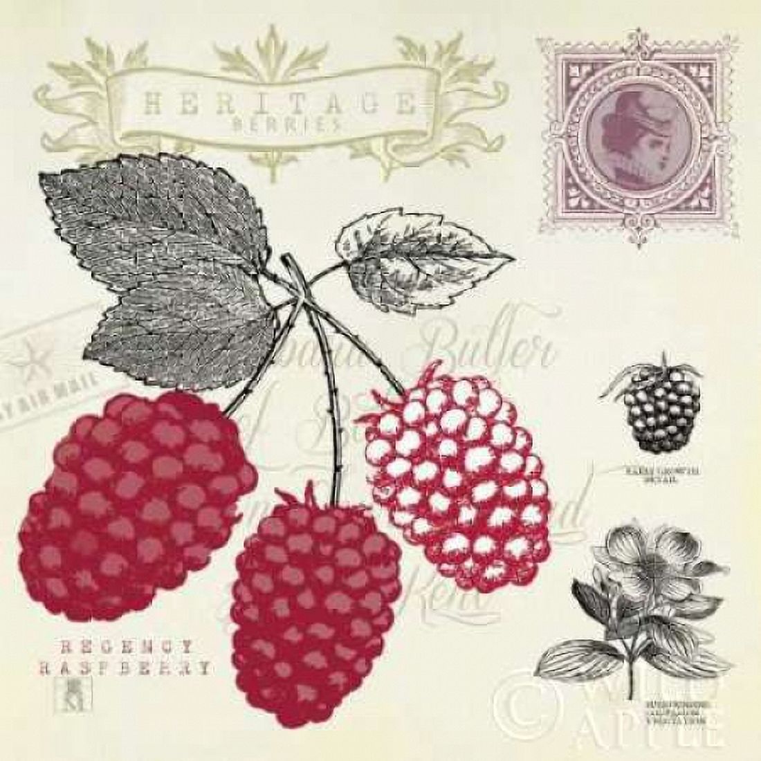 Raspberry Notes Canvas Art - Studio Mousseau (24 x 24)