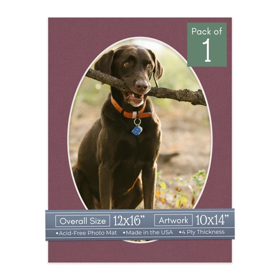 Raspberry Red Picture Frame Mat for 12x16 Frames - Oval Opening for 10x14 Photos - 1 Mat