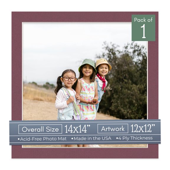 Raspberry Red Picture Frame Mat for 14x14 Frames - Fits 12x12 Photos - 1 Mat