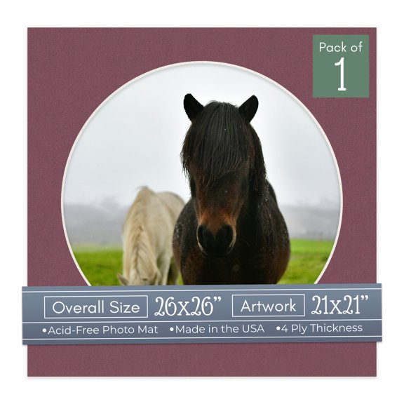 Raspberry Red Picture Frame Mat for 26x26 Frames - Circle Opening for 21x21 Photos - 1 Mat