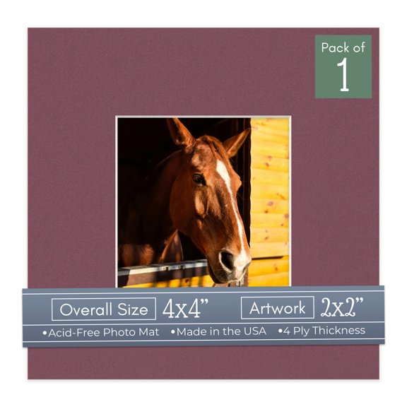Raspberry Red Picture Frame Mat for 4x4 Inch Frames - Fits 2x2 Photos - 1 Mat