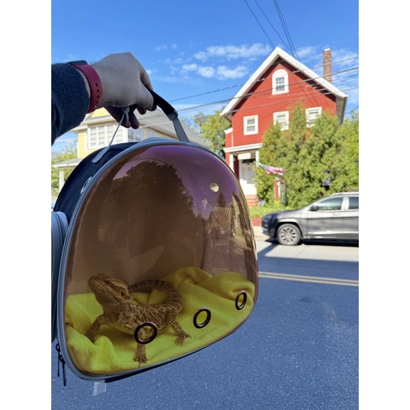 Rat Backpack Carrier, Bearded Dragon Carrier Backpack with Clear Bubble Window,Small Animal Travel Backpack for Hedgehog Rat Parrot,Rabbit,Sugar Glider,Airline Approved