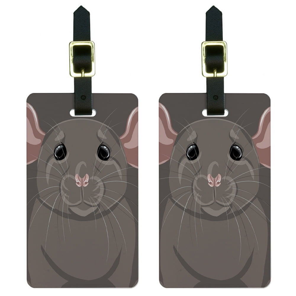 ファンシーラット #shippobank #ブリーダー #横浜市ペットショップ 神奈川県横浜市の小動物専門店 安心のプロブリーダー直売！  あなたのネズライフを生涯サポート 完全予約制で一対一の接客！ アニコム損保加入できます。 購入後は365日24時間LINEで相談可能 お問い合わせ  ..., image size:1000x1000