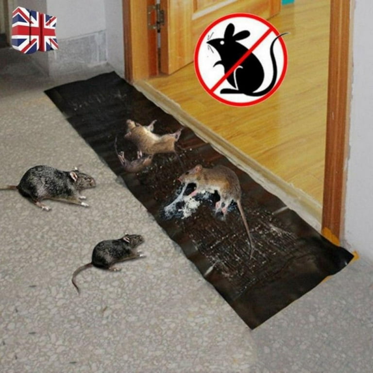 Extra Large Rat & Mouse Glue Traps - Enhanced Stickiness for Maximum Pest  Control - Traps Spiders, Roaches & More!