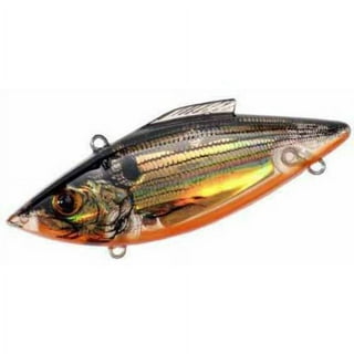 Bill Lewis Lures Rat-L-Trap Lures 3/4-Ounce Mag Trap (Gold/Black Back)