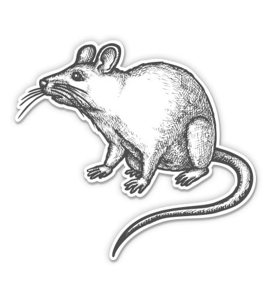Rat Retro Style Drawing - 12