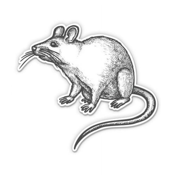 Rat Retro Style Drawing - 3" Vinyl Sticker - For Car Laptop Water Bottle Phone - Waterproof Decal