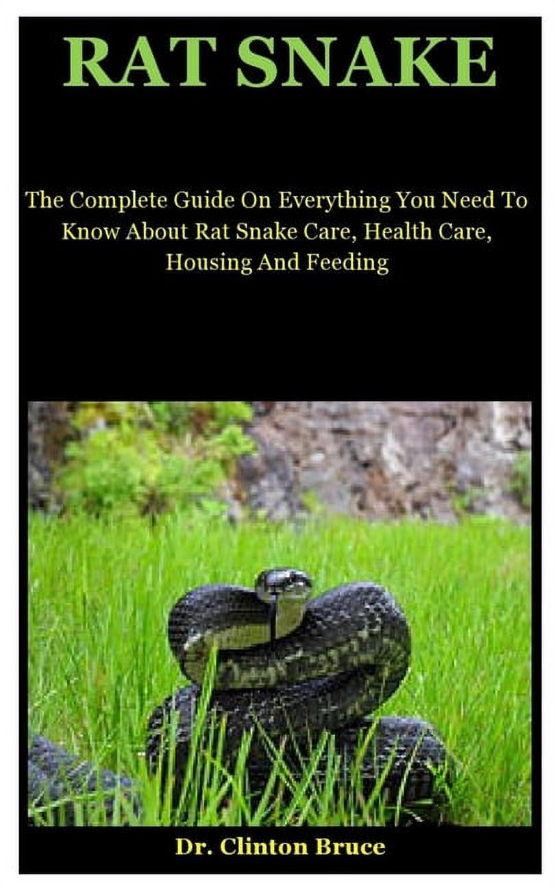 Rat Snake: The Complete Guide On Everything You Need To Know About Rat ...