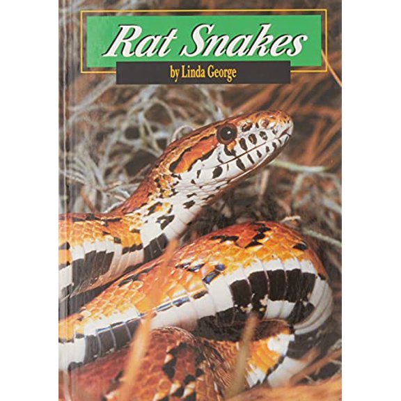 Pre-Owned Rat Snakes (Hardcover) 0736809090 9780736809092
