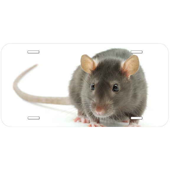 Rat TAG01 Novelty Car Auto License Plate