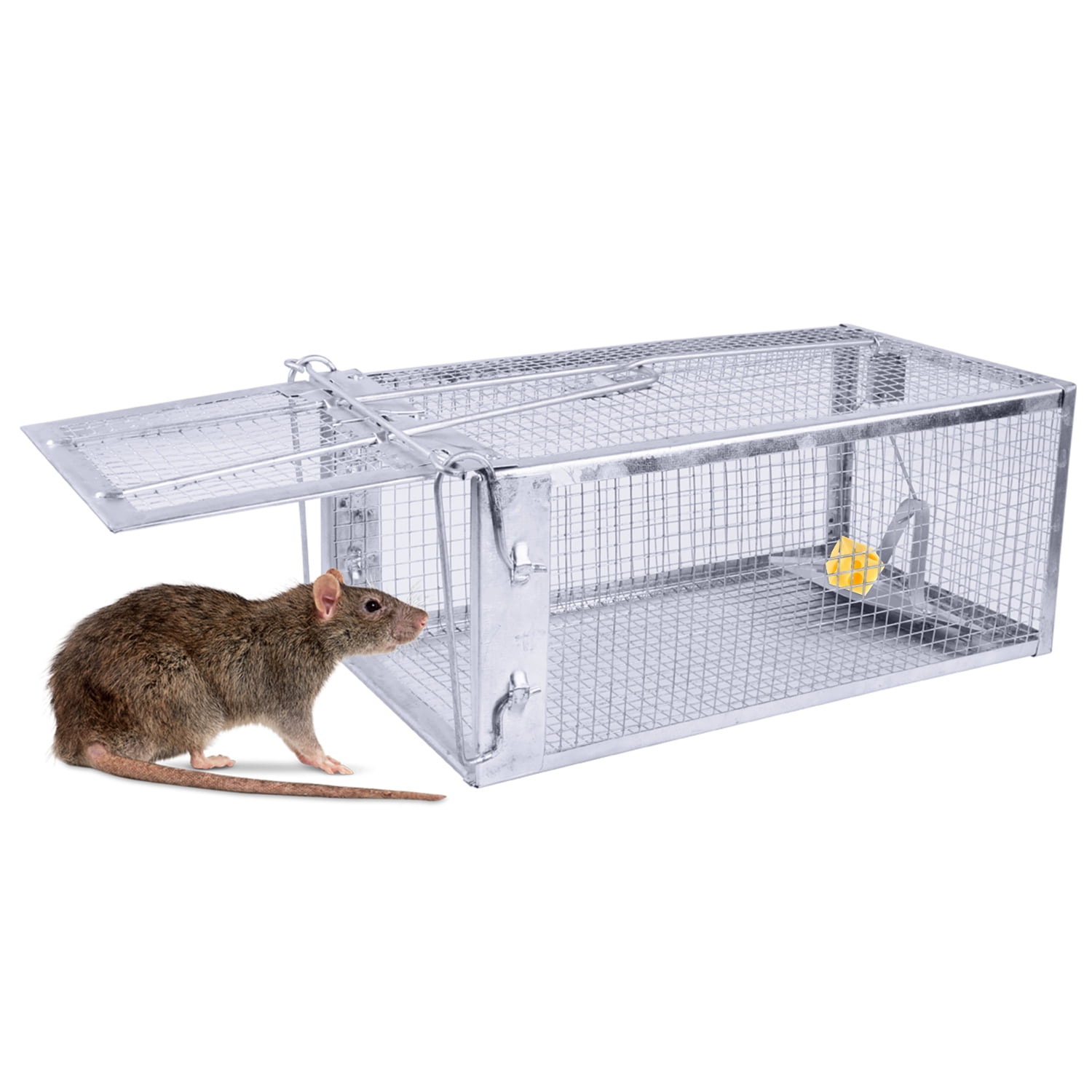 2 Pack Humane Mouse Trap Indoor for Home Live Mouse Trap for House Rat Trap  Indoor Outdoor Catch Release Reusable Easy to use, Trap for Small Animal,  Pet Safe ( 10.6x 5.6x