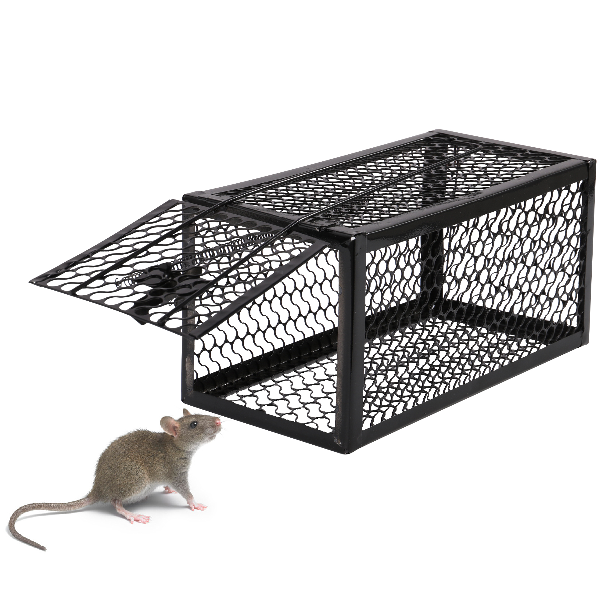 Rat Trap, Mouse Traps Work for Indoor and Outdoor, Small Rodent Animal