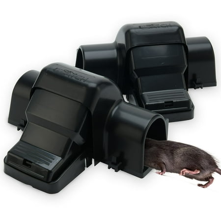 Rat Traps Indoor and Outdoor - Dual-Entry Large Rat Trap Outdoor and Indoor for Home, Garden and Restaurant with 99.9% Trap Rate Easy to Use Rodent Traps with Safe Hands Free Design - UCatch