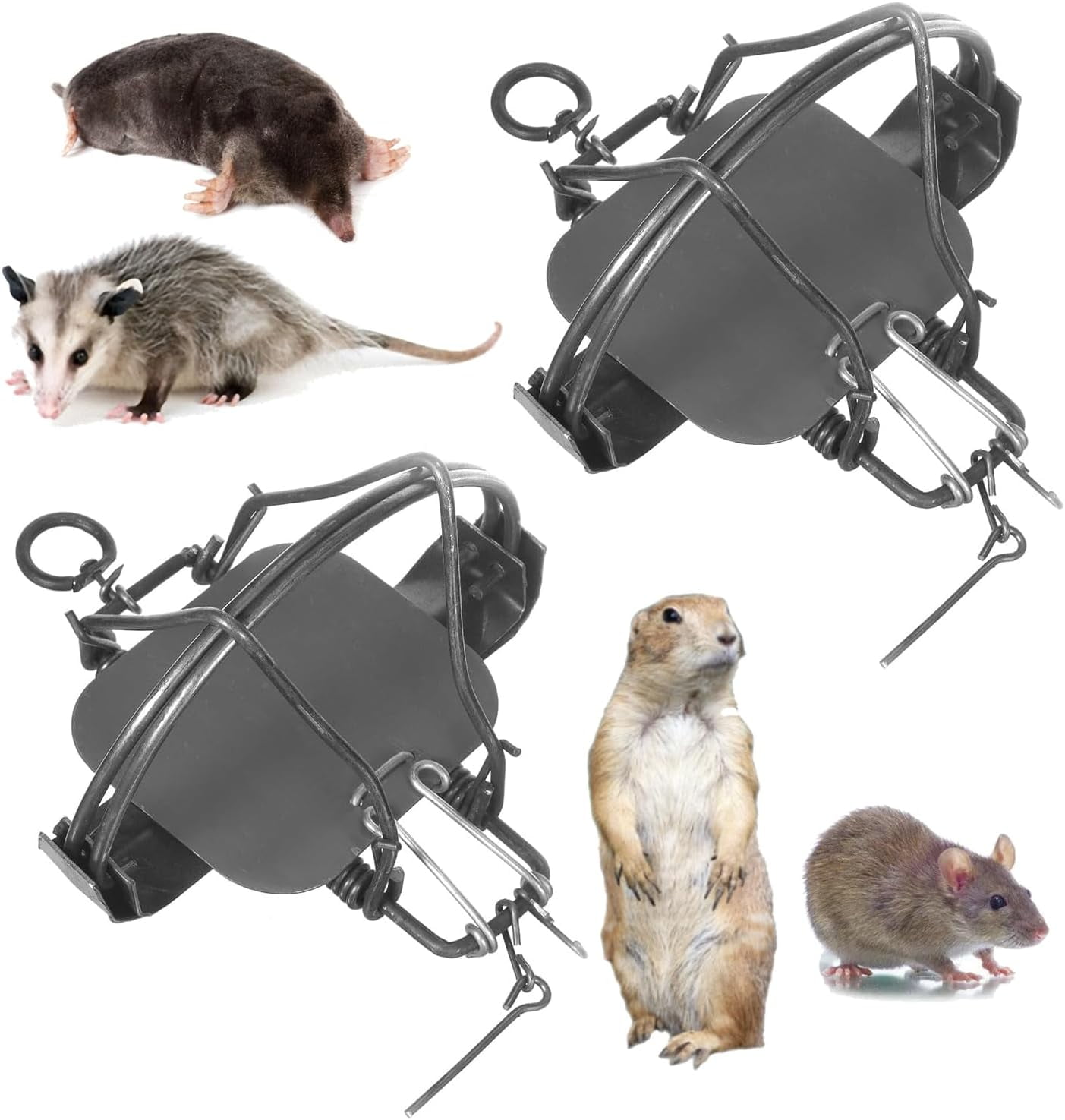 Rat Traps Mole Trap Rodent Cage Possum Trap Gophers Trap Groundhog Trap