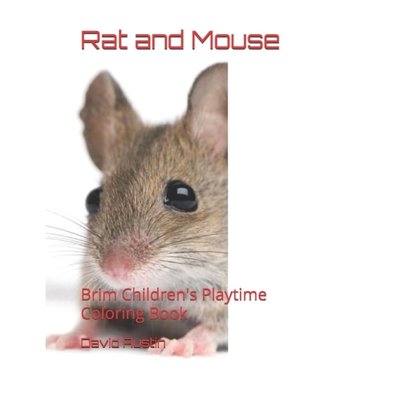 Rat and Mouse: Brim Children's Playtime Coloring Book, (Paperback)