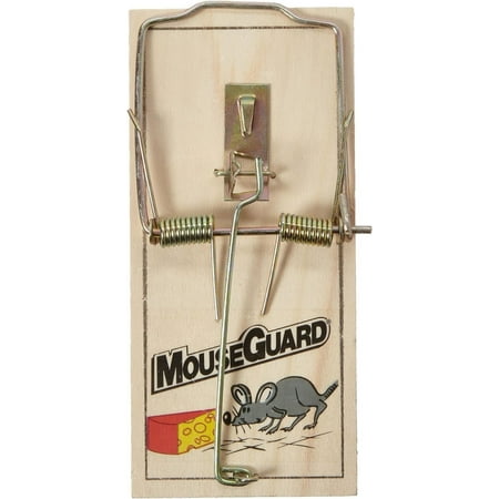 RatGuard Wooden Rat Trap Countertop Display