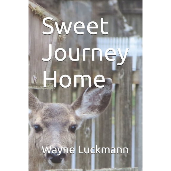 Rate of Exchange Sweet Journey Home, Book 2, (Paperback)