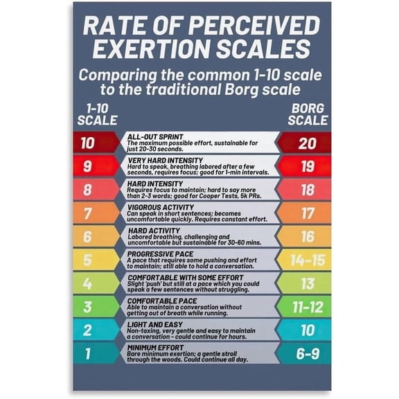 Rate of Perceived Exertion Scales Poster Rpe Chart Poster Wall Art for Home Living Room Bedroom Aesthetics Decor poster