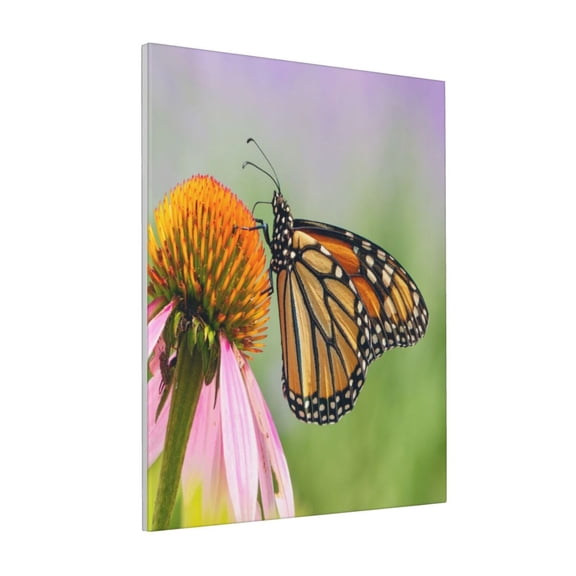Rateoe A monarch butterfly Pattern Decorative Picture – Unique Modern Wall Art, Ready-to-Hang Canvas Print for Home (Vertical)