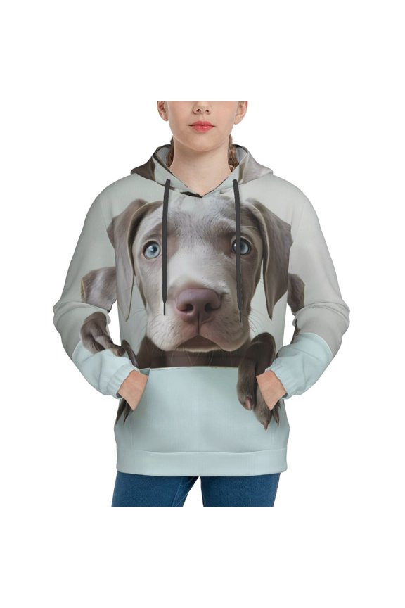 Adorable Puppy Portrait Pattern Boys Hoodie, Youth Pullover Hooded Sweatshirt, Kangaroo Pocket Hoodie for Kids-Large