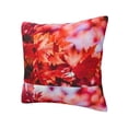 thumbnail image 1 of Rateoe Autumn Maple Leaves Pattern Throw Pillow Cover Premium Pillow Stuffer Sham Square for Decorative Cushion Bed Couch Sofa(Pillow insert not included), 1 of 8