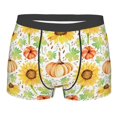 thumbnail image 1 of Rateoe Autumn Theme Mens Boxer Briefs Poly Spandex Performance Boxer Briefs Underwear Hem Boxer Briefs - Small, 1 of 8