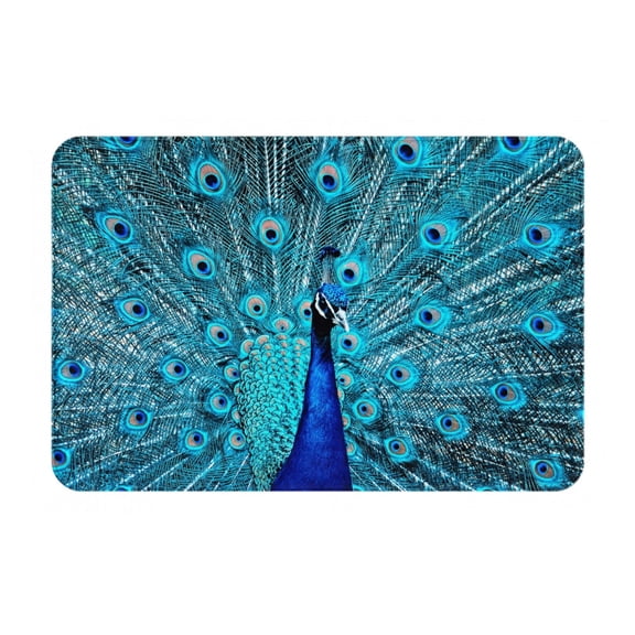 Rateoe Beautiful Blue Peacock Pattern Flannel Door Mat Indoor Outdoor Entrance, Waterproof All-Weather Doormat,Fade Resistant, Low Profile Entryway Mat 16x24in