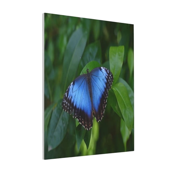 Rateoe Blue Morpho butterfly Pattern Decorative Picture – Unique Modern Wall Art, Ready-to-Hang Canvas Print for Home (Vertical)