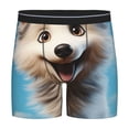 thumbnail image 1 of Rateoe Blue Sky Cute Wolf Print Men’s Underwear Boxer Briefs Soft Comfortable Underwear Boxer Briefs, Long Leg Briefs,Anti-chafing Boxer Briefs, 1 of 7