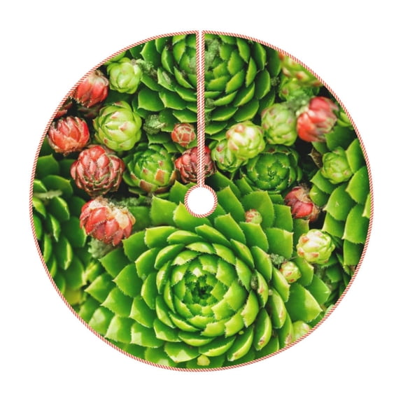Rateoe Cactus And Succulents Pattern Christmas Tree Skirt with Ties , Christmas Tree Decorations, Farmhouse Christmas Decor Xmas Holiday Decorations-