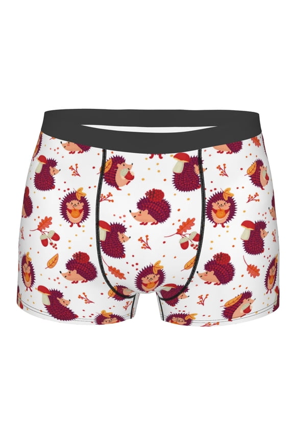 Cartoon Hedgehogs Mens Boxer Briefs Poly Spandex Performance Boxer Briefs Underwear Hem Boxer Briefs - Small