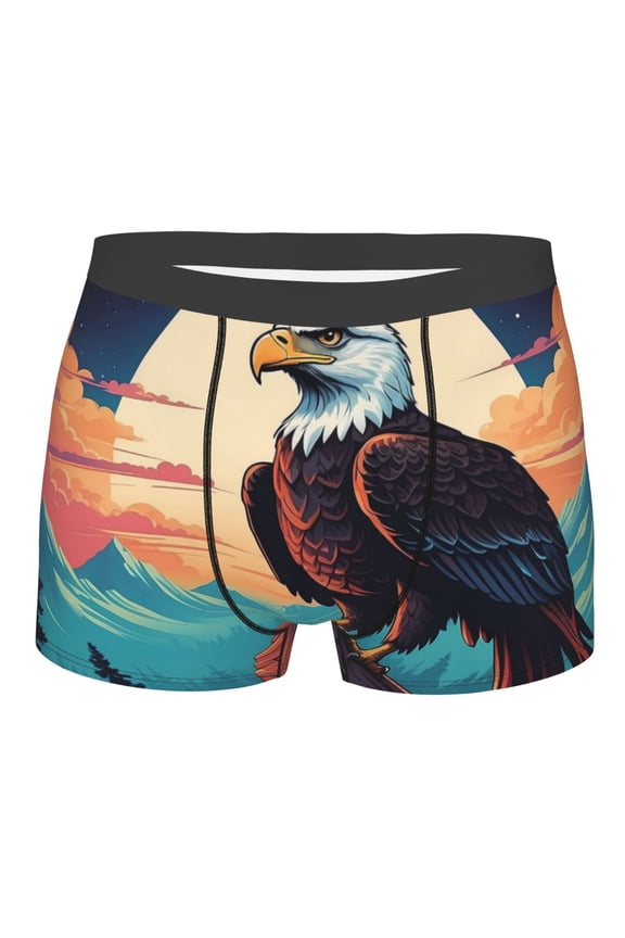 Cartoon Iceberg Bald Eagle Mens Boxer Briefs Poly Spandex Performance Boxer Briefs Underwear Hem Boxer Briefs - Small