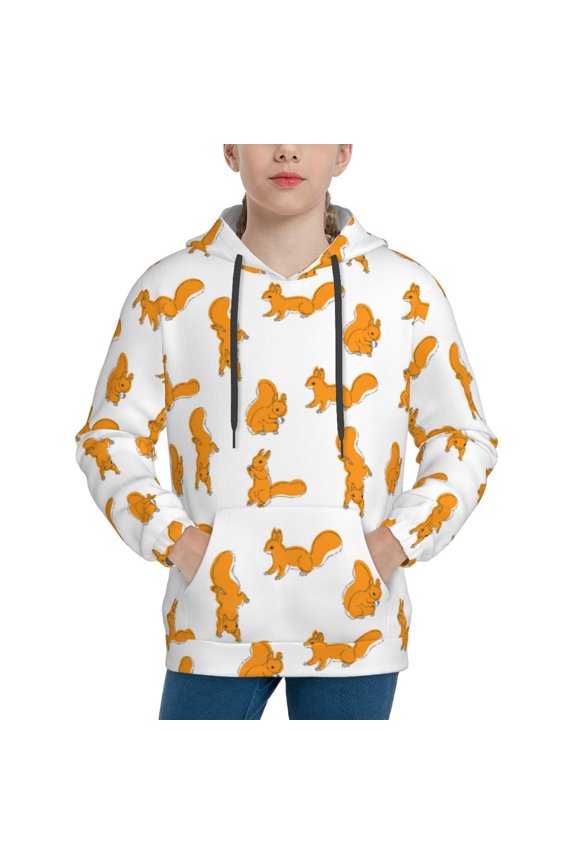 Cartoon Squirrel Pattern Boys Hoodie, Youth Pullover Hooded Sweatshirt, Kangaroo Pocket Hoodie for Kids-Large
