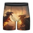 thumbnail image 1 of Rateoe Castle Cool Fire Dragon Print Men’s Underwear Boxer Briefs Soft Comfortable Underwear Boxer Briefs, Long Leg Briefs,Anti-chafing Boxer Briefs, 1 of 7
