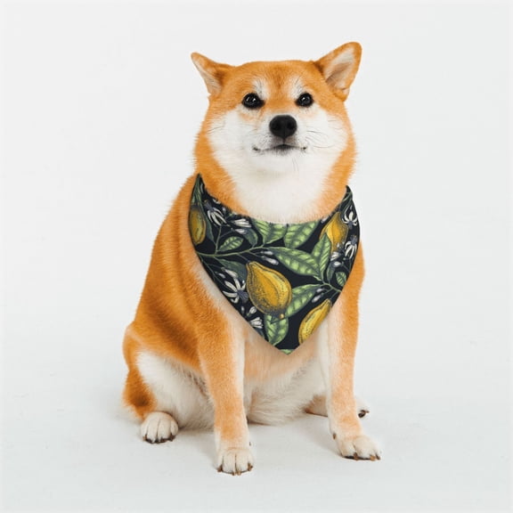 Rateoe Citrus Fruits Elegant Lemons Print Pet Scarf for Dogs and Cats – Stylish Reflective Design, Breathable & Durable Pet Bandana with Quick-Release Buckle-Small