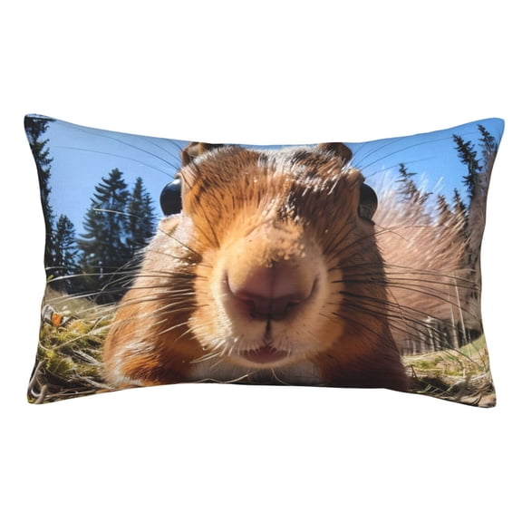 Rateoe Close-Up Curious Squirrel Pattern Decorative Pillow Case,Throw Pillow Covers,Plush Pillow Cover,Soft Pillow Case,Velvet Pillow Case-16"x24"