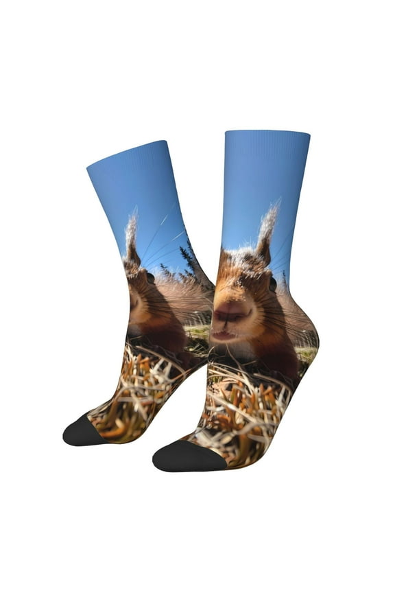 Close-Up Curious Squirrel for Women Casual Calf Socks - Cute Crew Socks - Thin Soft Above Ankle Socks Size 5-11