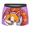 thumbnail image 1 of Rateoe Corgi In Sushi Roll Mens Boxer Briefs Poly Spandex Performance Boxer Briefs Underwear Hem Boxer Briefs - Small, 1 of 8