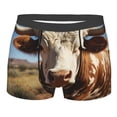 thumbnail image 1 of Rateoe Cute Daisy Cow Mens Boxer Briefs Poly Spandex Performance Boxer Briefs Underwear Hem Boxer Briefs - Medium, 1 of 8