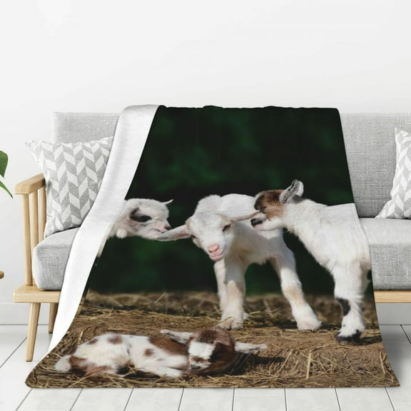 Rateoe Cute Goat Baby Pattern Flannel Throw Blanket, Ultra-soft Blanket for Bed, Couch, Car, Hypoallergenic Anti-pilling blanket-50"x40"(Vertical)