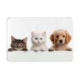 thumbnail image 1 of Rateoe Cute Kittens And Puppy Pattern Flannel Door Mat Indoor Outdoor Entrance, Waterproof All-Weather Doormat,Fade Resistant, Low Profile Entryway Mat 16x24in, 1 of 7