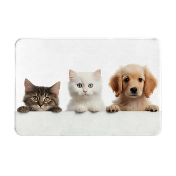Rateoe Cute Kittens And Puppy Pattern Flannel Door Mat Indoor Outdoor Entrance, Waterproof All-Weather Doormat,Fade Resistant, Low Profile Entryway Mat 16x24in
