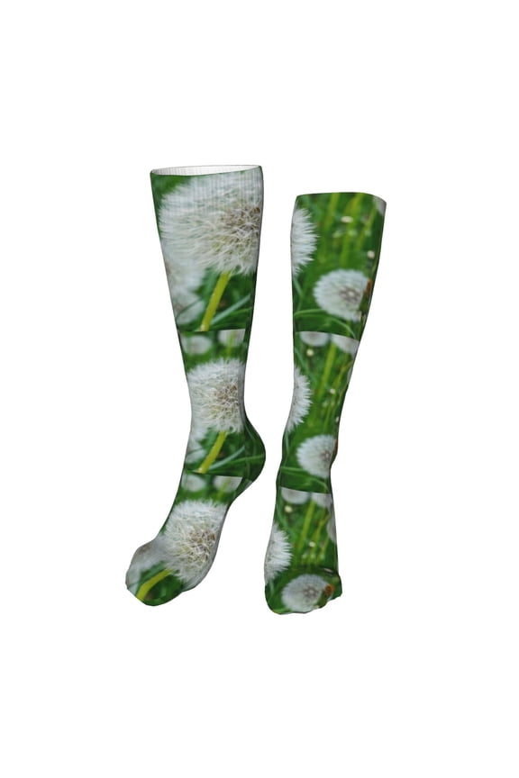 Dandelion Flower In The Meadow print Women's Men's Novelty 20in Crew Socks Cotton Socks Knee High Socks for Walking,Running,Nurses,Pregnancy-One Size