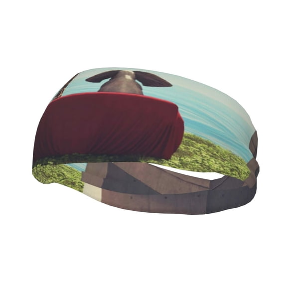 Rateoe Elehpant And A Giraffe Looking At The Sea Pattern Sports Headbands ,Moisture Wicking Workout Headband, Sweatband Headbands for Running,Cycling,Yoga,Hairband for Women and Men