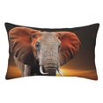 thumbnail image 1 of Rateoe Elephant Sunset in Kenya Pattern Decorative Pillow Case,Throw Pillow Covers,Plush Pillow Cover,Soft Pillow Case,Velvet Pillow Case-20"x30", 1 of 6